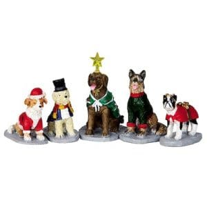 Costumed Canines, Set Of 5