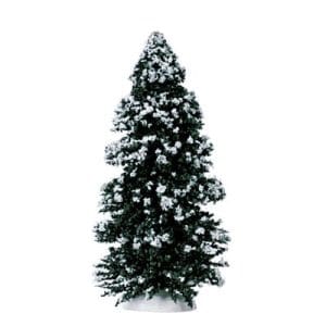 Evergreen Tree, Large