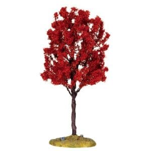 Baldcypress Tree, Medium