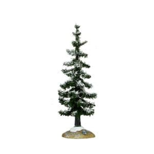 Blue Spruce Tree, Small