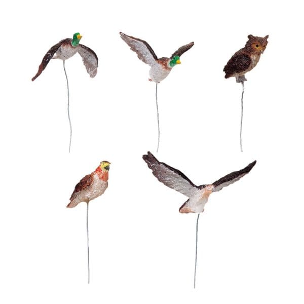 Assorted Birds, Set Of 5