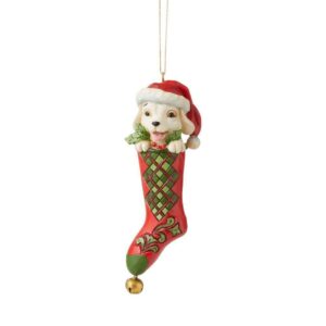 Dog In Stocking
