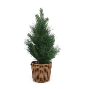 55Cm Pine Fir Christmas Tree W/Rattan Pot